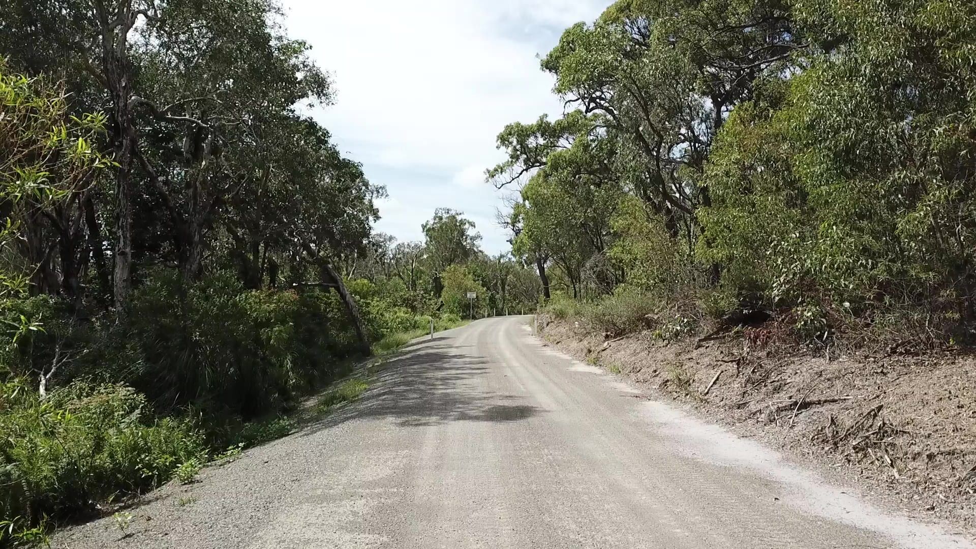 Gravel road through eucalypt bushland, with a freshly graded shoulder and cleared verge